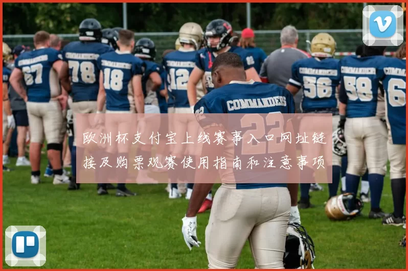 欧洲杯支付宝上线赛事入口网址链接及购票观赛使用指南和注意事项