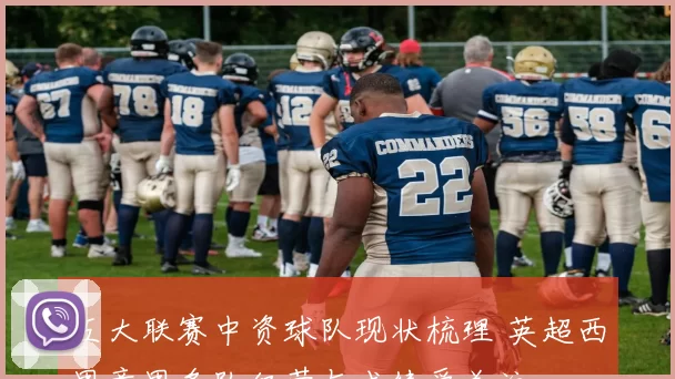 五大联赛中资球队现状梳理 英超西甲意甲多队经营与成绩受关注