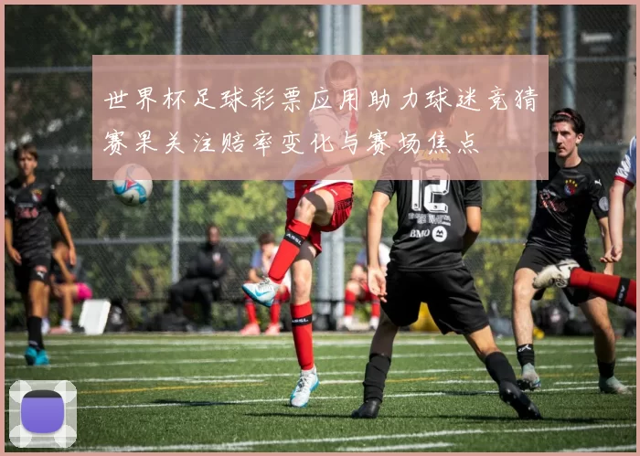 世界杯足球彩票应用助力球迷竞猜赛果关注赔率变化与赛场焦点
