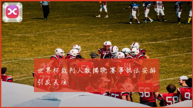 世界杯裁判人数揭晓 赛事执法安排引发关注